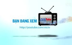 Cách phân biệt cá "sạch"